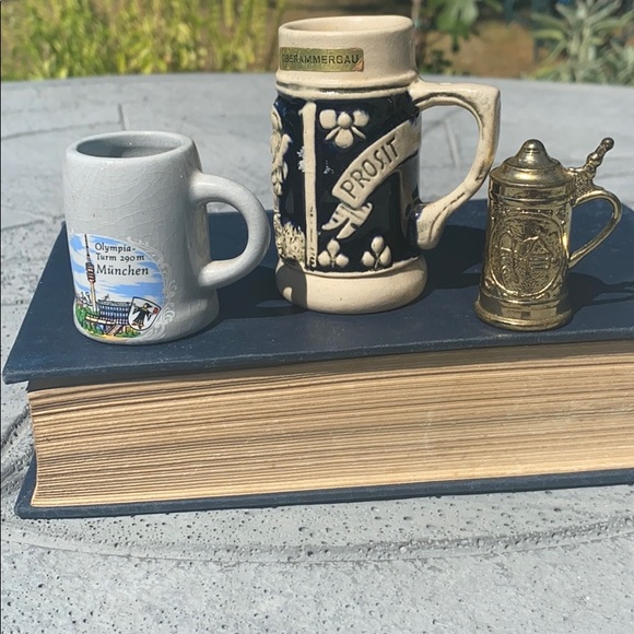 Other - 🎉Miniature stein collection
